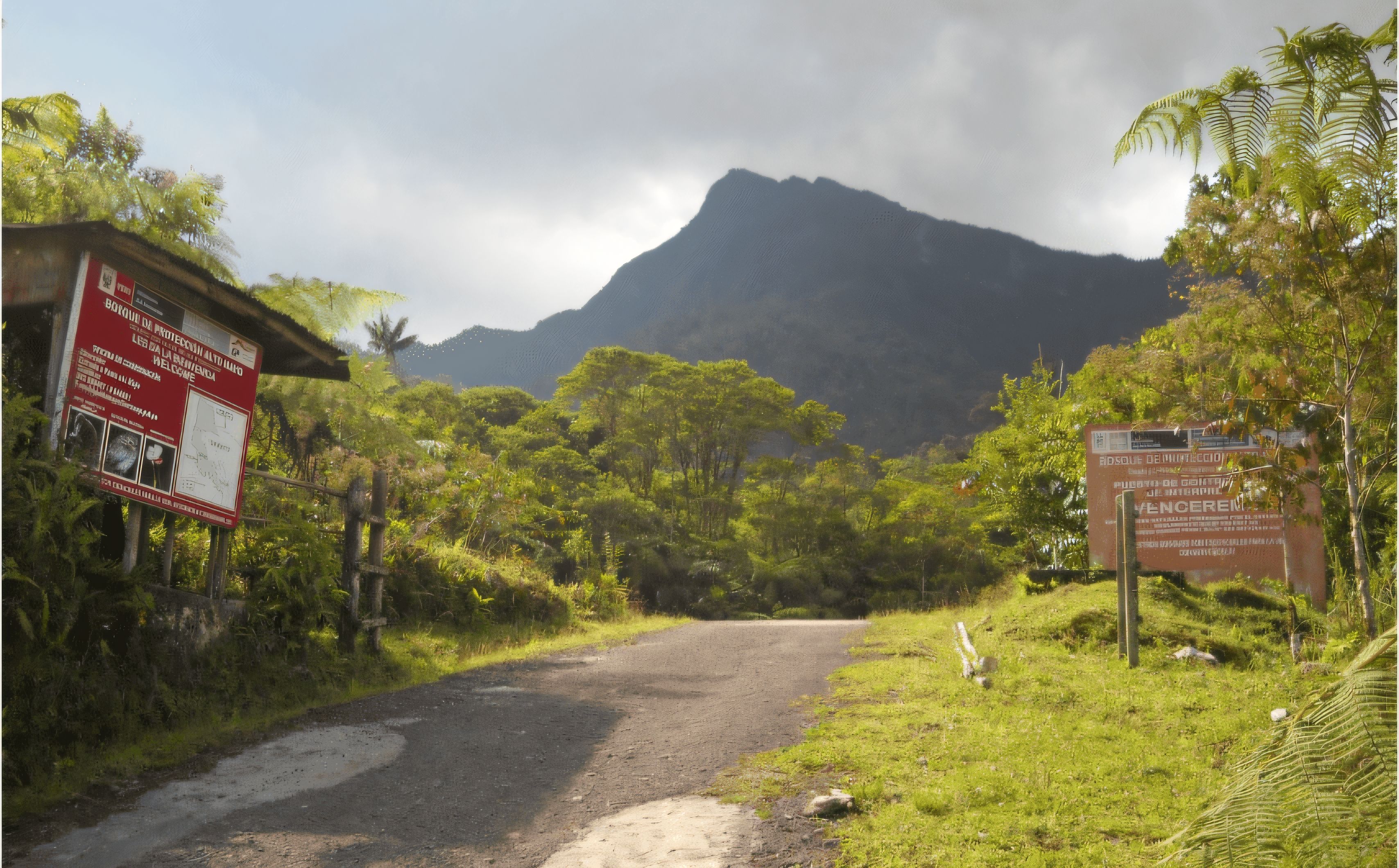 Imagen de Sendero El Canto Del Bosque